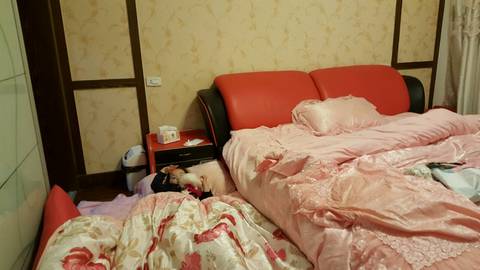 journal_insert_pic_705014315