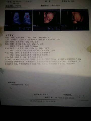 journal_insert_pic_704956022
