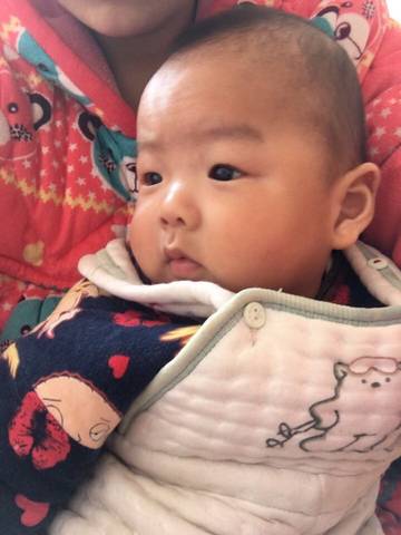 journal_insert_pic_704493250