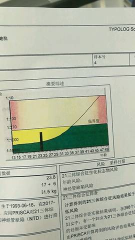 journal_insert_pic_705541189