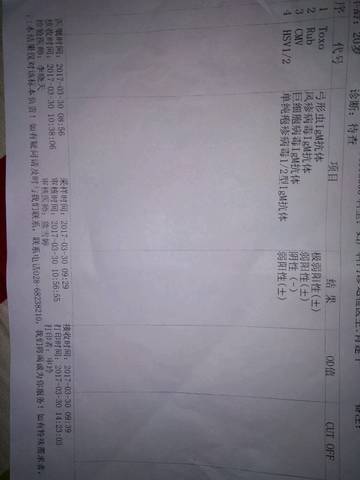 journal_insert_pic_705595263