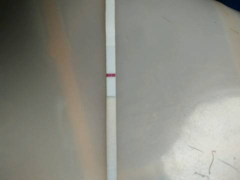 journal_insert_pic_706055789