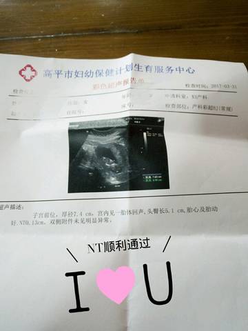journal_insert_pic_706229317