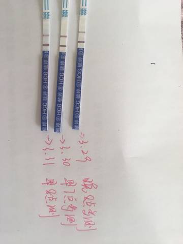 journal_insert_pic_706005971