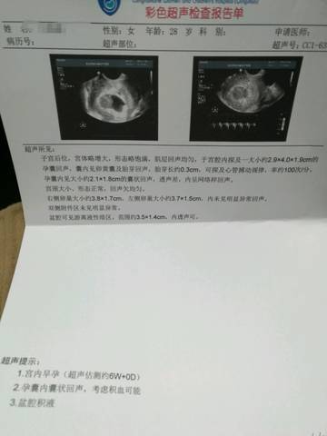 journal_insert_pic_706940653