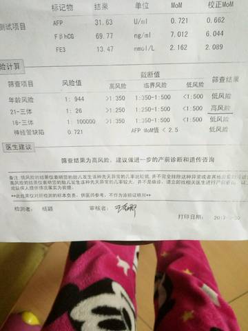 journal_insert_pic_706888322