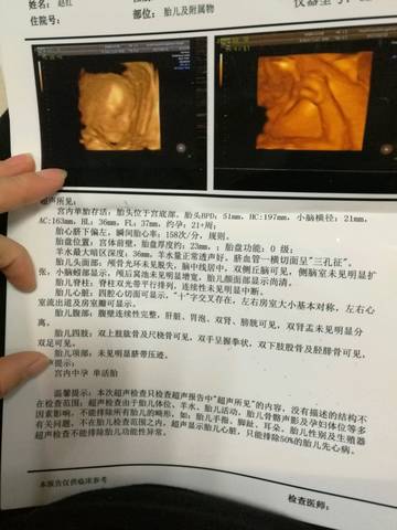 journal_insert_pic_706913768