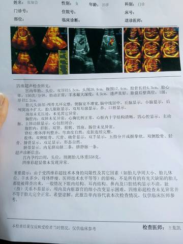 journal_insert_pic_706904917