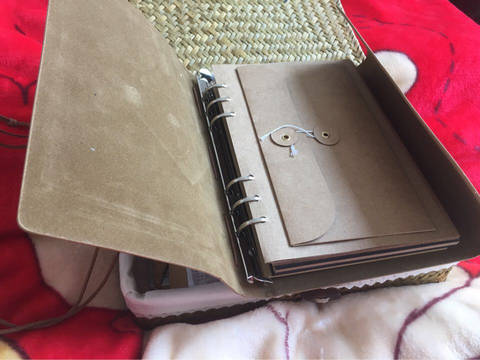 journal_insert_pic_707747537