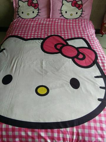 journal_insert_pic_707746785