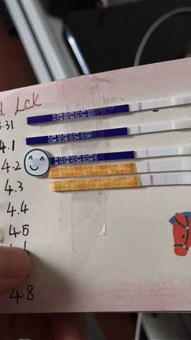 journal_insert_pic_708187574