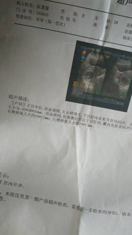 journal_insert_pic_708571564