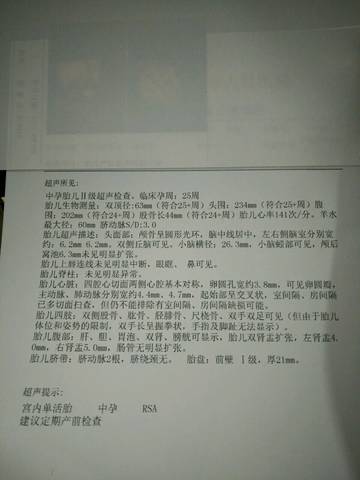 journal_insert_pic_708701578
