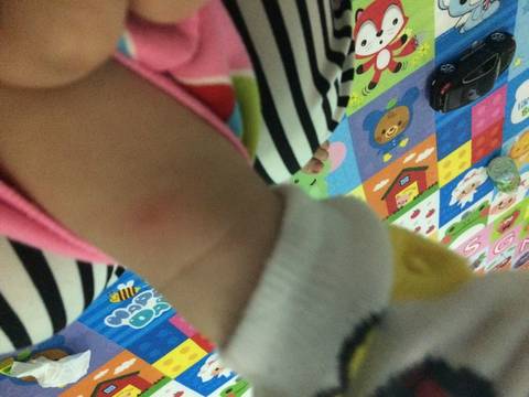 journal_insert_pic_709468941