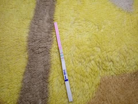 journal_insert_pic_709342514