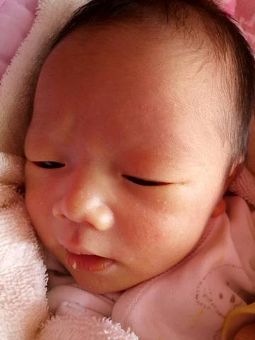 journal_insert_pic_709102255