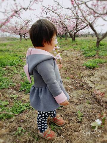 journal_insert_pic_709535743