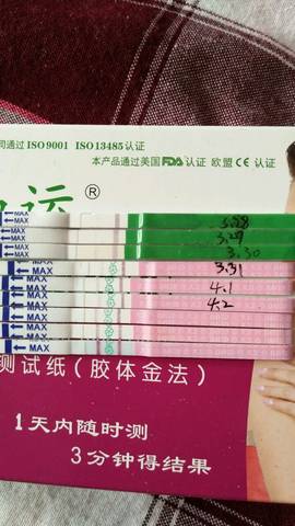 journal_insert_pic_709700171