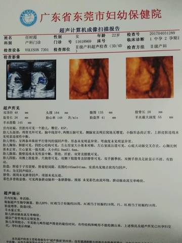 journal_insert_pic_709246071