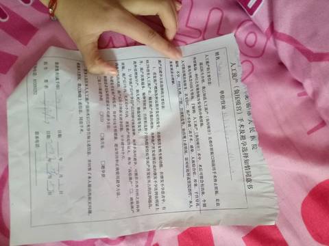 journal_insert_pic_710314505