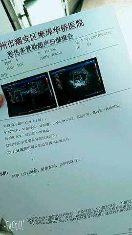 journal_insert_pic_710367728