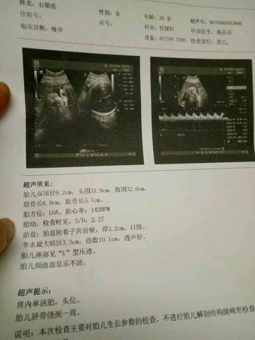 journal_insert_pic_710412352