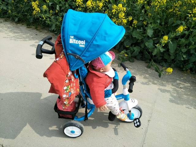 6月份的宝宝坐学步车了吗?