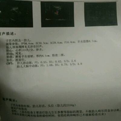 journal_insert_pic_711208440