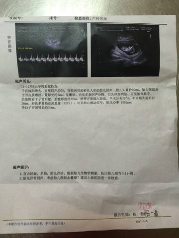 journal_insert_pic_711184475