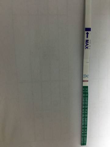 journal_insert_pic_711348769