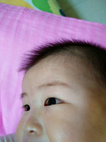 journal_insert_pic_712084352