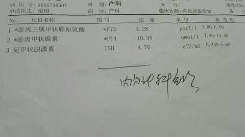 journal_insert_pic_712187727
