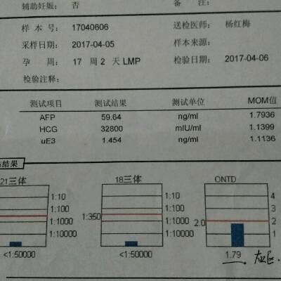 journal_insert_pic_713099048