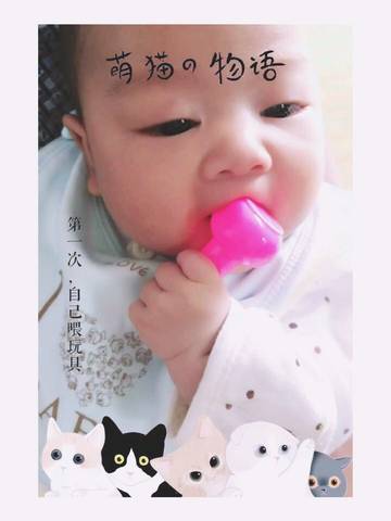 journal_insert_pic_712623418