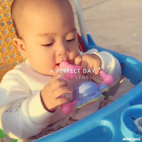 journal_insert_pic_712623479