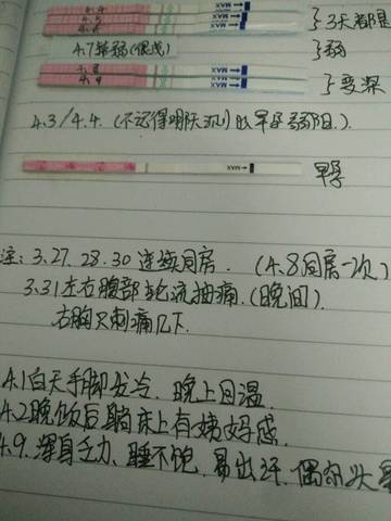 journal_insert_pic_713958973