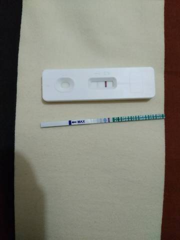 journal_insert_pic_714641222