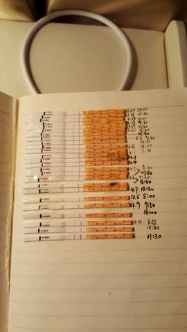 journal_insert_pic_715011440