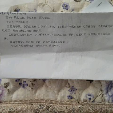 journal_insert_pic_714680052