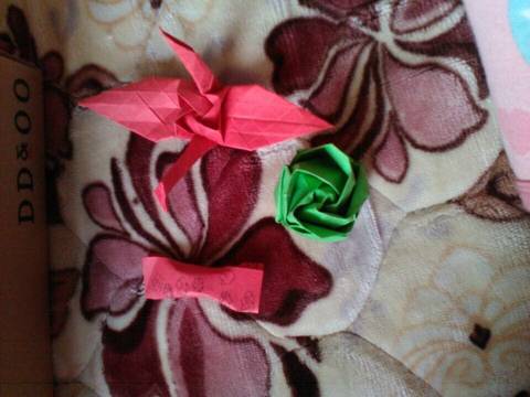 journal_insert_pic_715450352