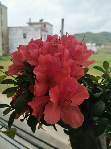 journal_insert_pic_716613672