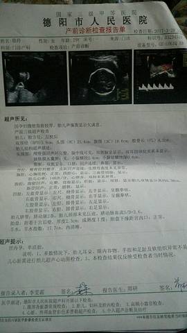 journal_insert_pic_716731204