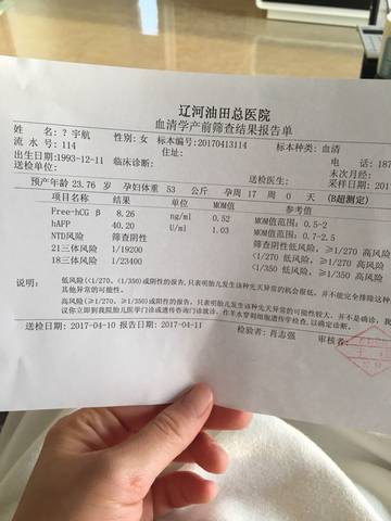 journal_insert_pic_717270505