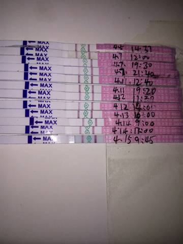 journal_insert_pic_718497344