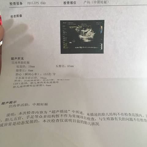 journal_insert_pic_719409312