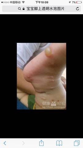 journal_insert_pic_720692990