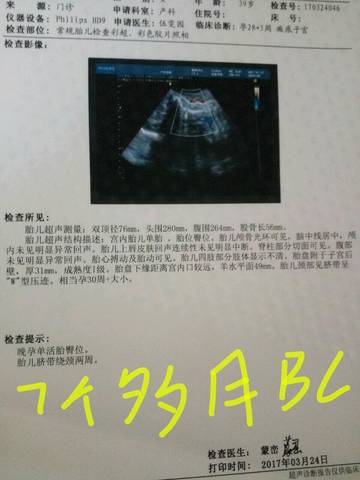 journal_insert_pic_720597513