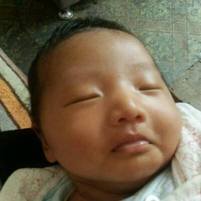 journal_insert_pic_720234356