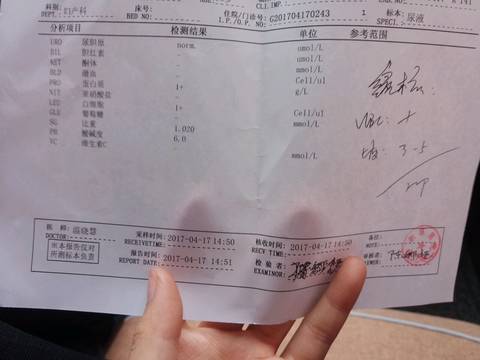 journal_insert_pic_720491721