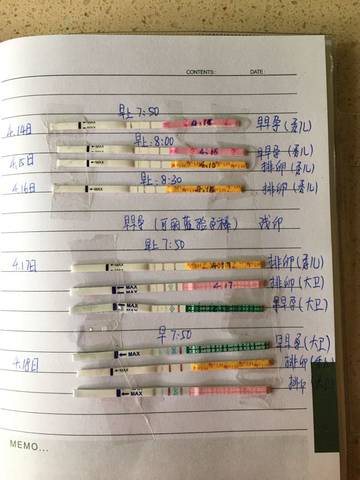 journal_insert_pic_721034632